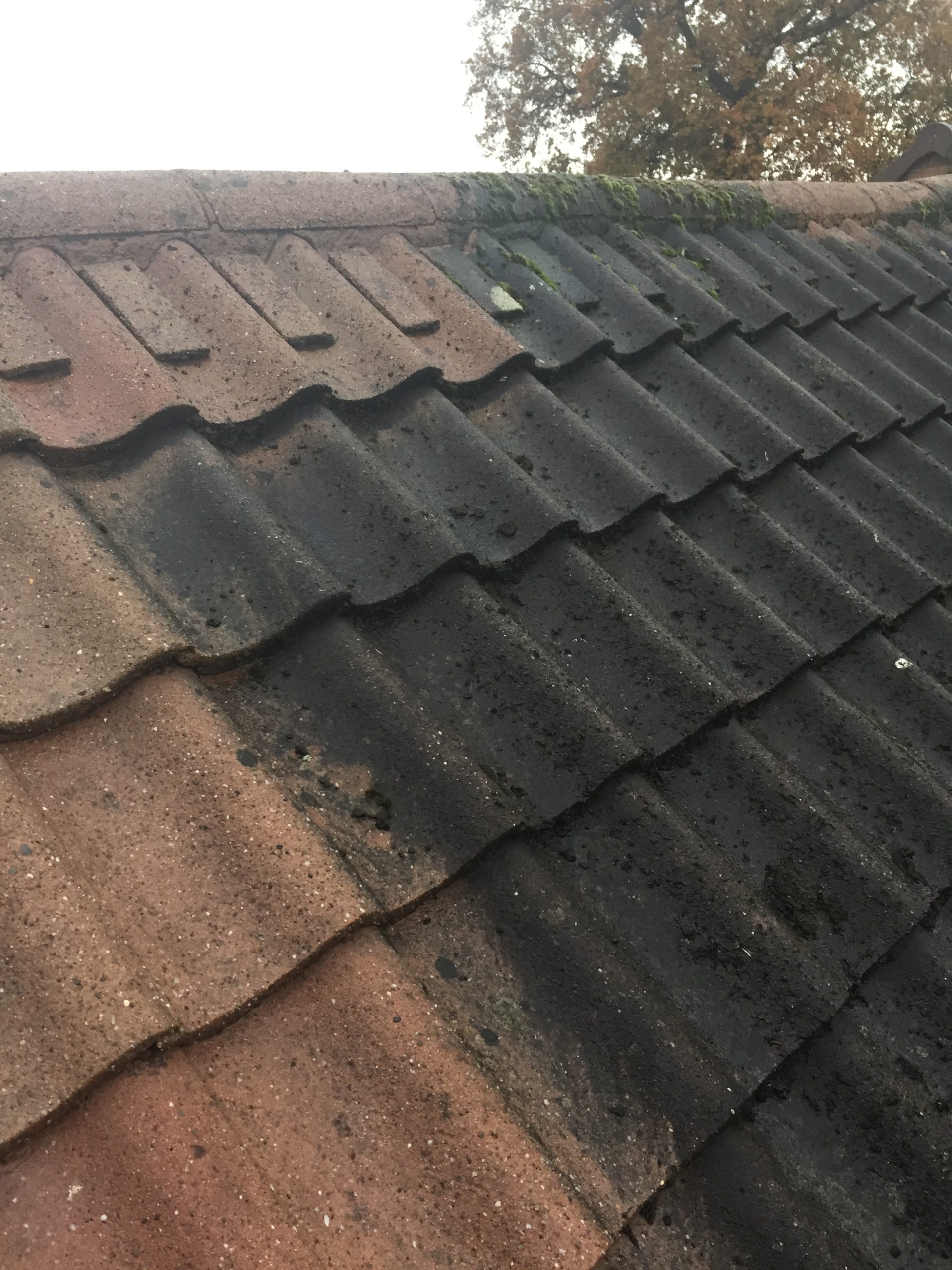 Tettenhall – Acrylic Roof Spraying